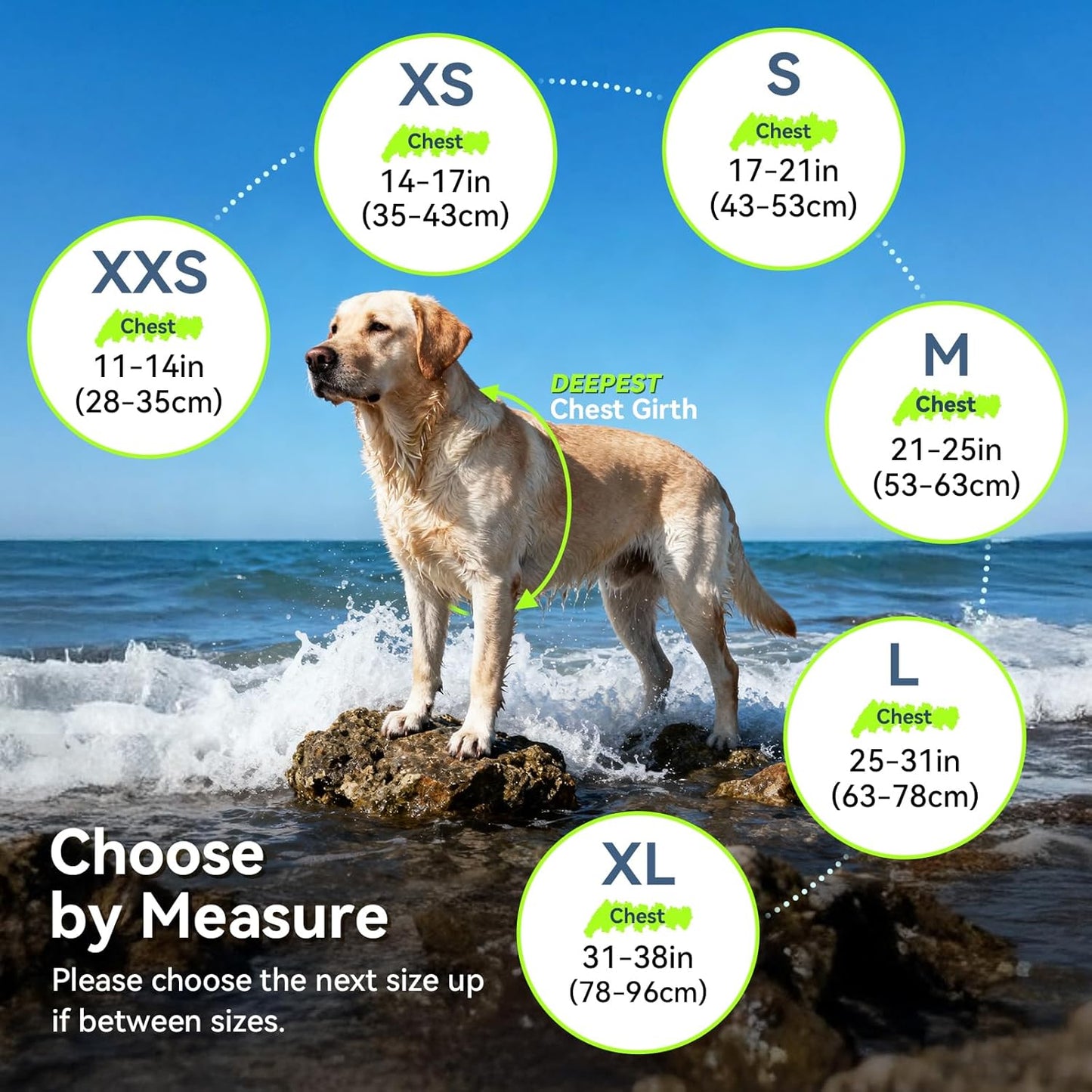 Dog Life Vest Front Float Dog Swim Vest, XS, Bright Green | Life Jacket with Chin Float & Handle for Swimming & Boating, High Visibility Adjustable for Doggy Cat Puppy