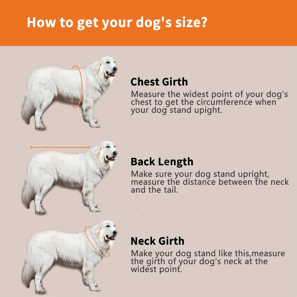 Dog Life Jacket- Preserver with Adjustable Belt, Pet Swimming Shark Jacket for Short Nose Dog Upgrade Version (Pug,Bulldog,Poodle,Bull Terrier,Samoyed,Alaskan Malamute) (XS, Orange)