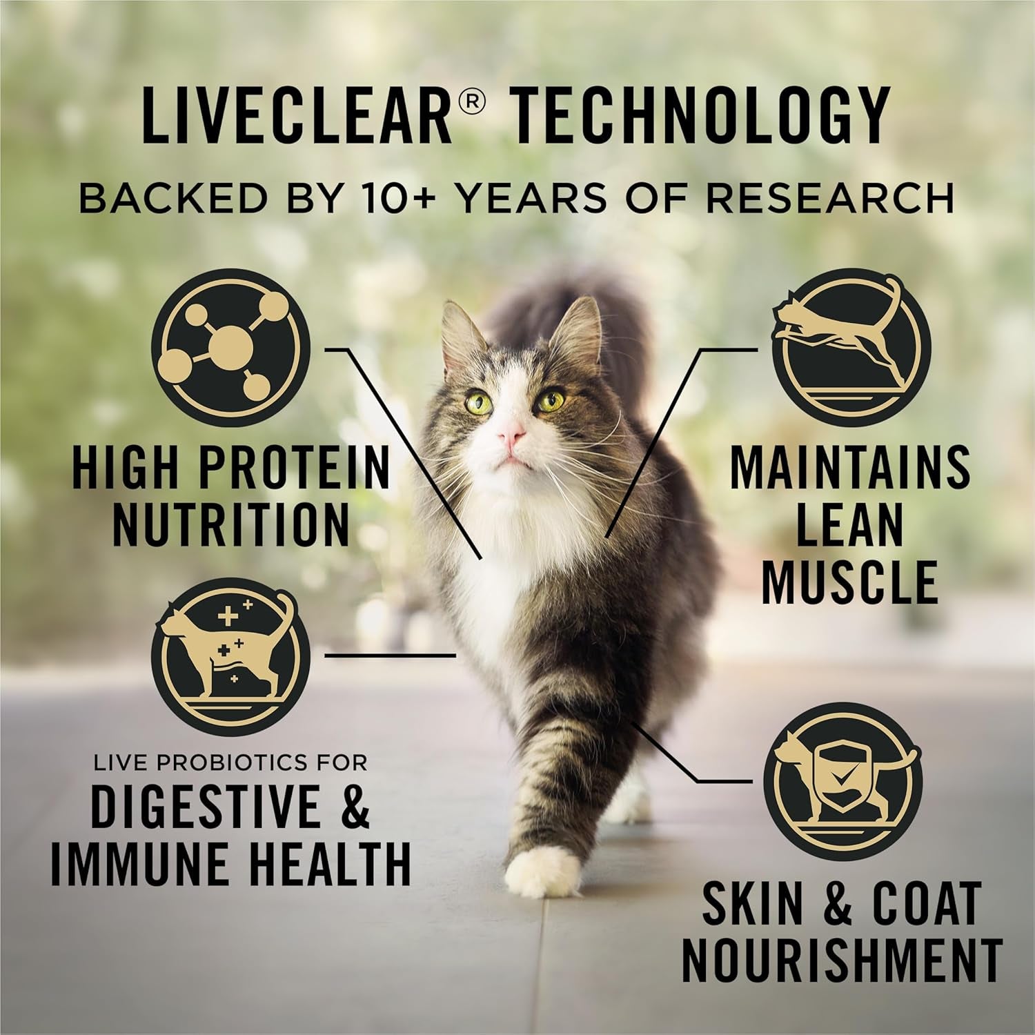 Purina Pro Plan Indoor Cat Food Liveclear Cat Allergen Reducing Turkey and Rice Formula - 3.2 Lb.