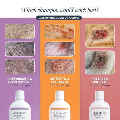 Clinical Care Antiseptic & Antifungal Shampoo, 16 Oz | Medicated Formula Helps Alleviate Scaly, Greasy and Red Skin; Free from Parabens, Dyes and Soap