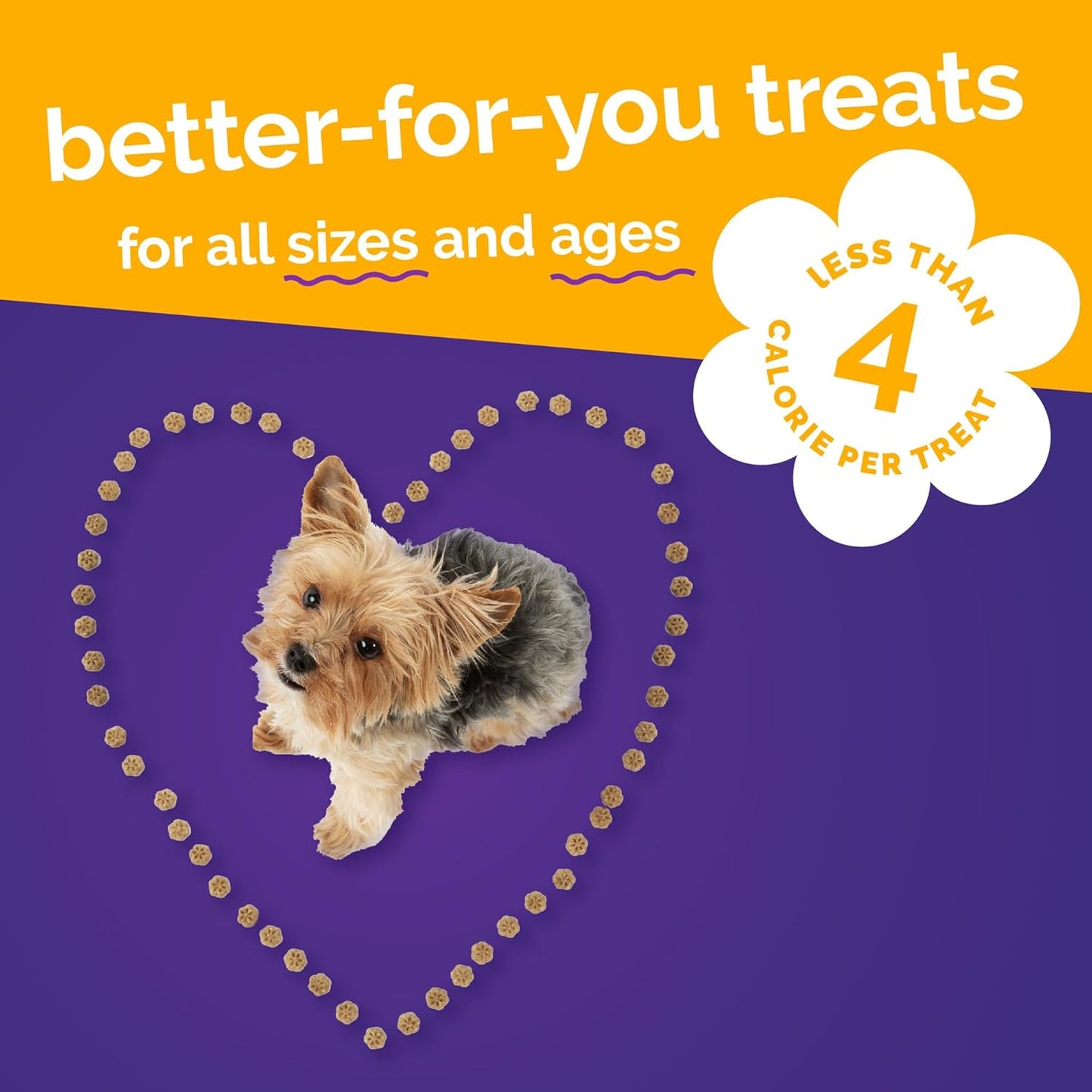 Skinny Mini Dog Treats, Training Treats, Pumpkin and Mango, 5Oz | Healthy Dog Treats, Crunchy Dog Biscuits, Healthy Puppy Treats, Limited Ingredient, Training Rewards, Made in USA