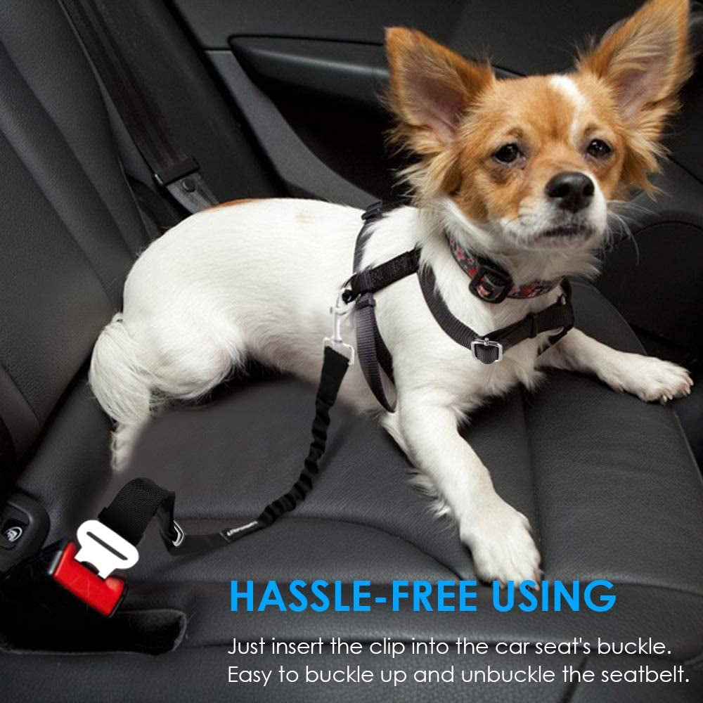 Retractable Dog Seat Belt, Adjustable Safety Belt, 2 Pack | Elastic Bungee, Heavy Duty, 360° Swivel, Fits Most Vehicles, Small to Large Dogs, Zinc Alloy Clip